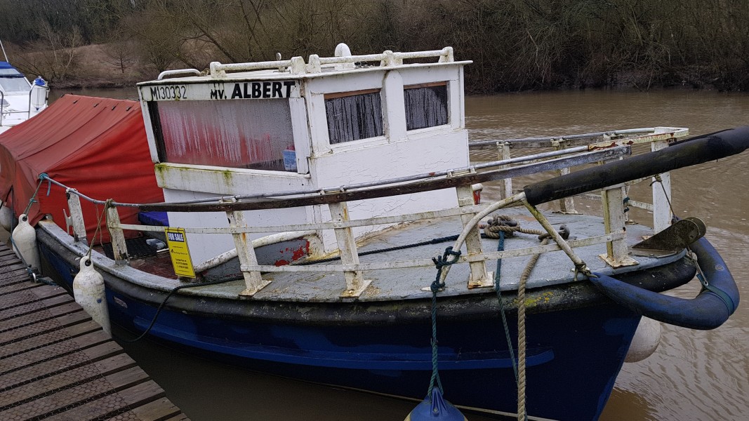 MV ALBERT